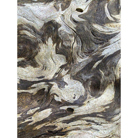 The Scream III White Modern Wood Framed Art Print by Grayscale