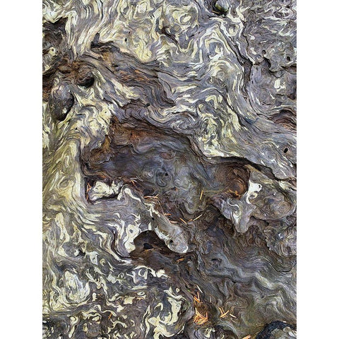 The Scream IV Gold Ornate Wood Framed Art Print with Double Matting by Grayscale