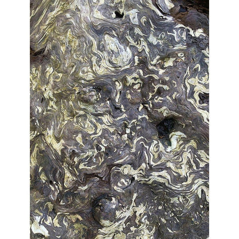 The Scream V Gold Ornate Wood Framed Art Print with Double Matting by Grayscale