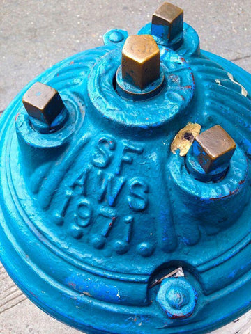 Blue Fire Hydrant I Black Ornate Wood Framed Art Print with Double Matting by Grayscale
