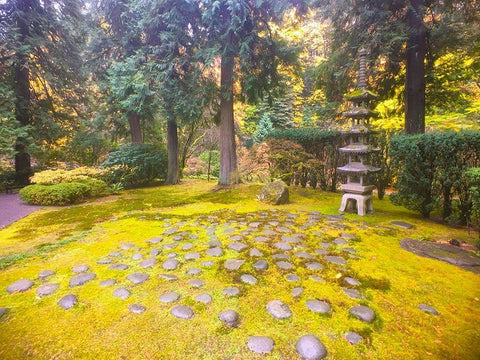 Pagoda Garden V White Modern Wood Framed Art Print with Double Matting by Grayscale