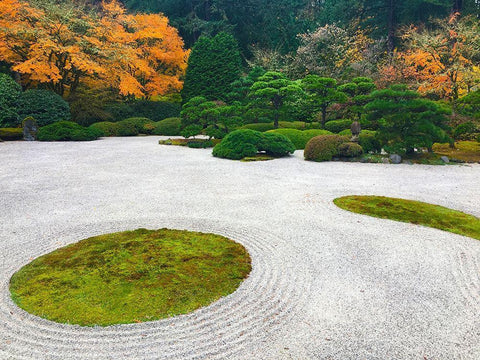 Zen Garden I White Modern Wood Framed Art Print with Double Matting by Grayscale
