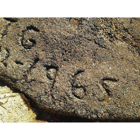 1965 Black Modern Wood Framed Art Print with Double Matting by Grayscale