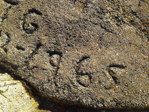 1965 Black Ornate Wood Framed Art Print with Double Matting by Grayscale