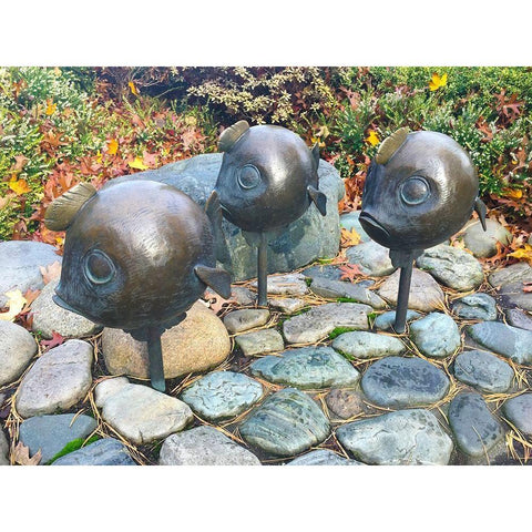 Bubble Fish Black Modern Wood Framed Art Print with Double Matting by Grayscale