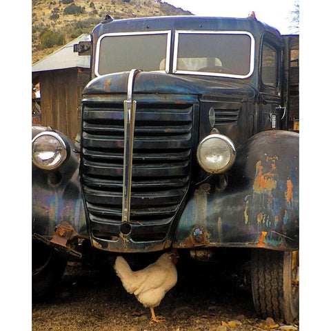 Bygone Chicken Black Modern Wood Framed Art Print with Double Matting by Popcorn