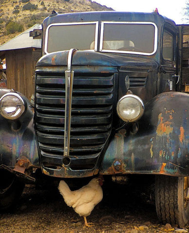 Bygone Chicken Black Ornate Wood Framed Art Print with Double Matting by Popcorn