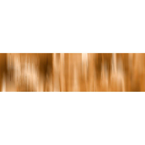 Copper Shine Black Modern Wood Framed Art Print with Double Matting by Tenoever, William