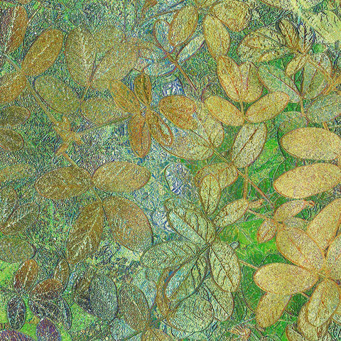 Flora Square 1e Gold Ornate Wood Framed Art Print with Double Matting by Tenoever, William