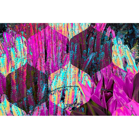 Hexaflora1 Black Modern Wood Framed Art Print with Double Matting by Tenoever, William