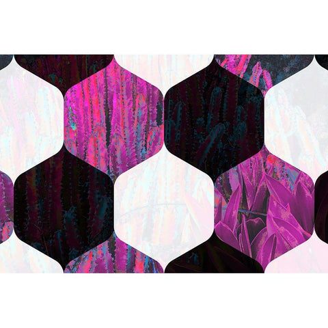 Hexaflora6 Black Modern Wood Framed Art Print with Double Matting by Tenoever, William