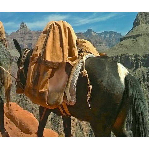 Grand Canyon 1: Mule Train Gold Ornate Wood Framed Art Print with Double Matting by Popcorn