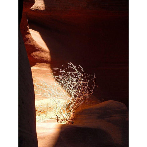 Antelope Canyon V White Modern Wood Framed Art Print by Popcorn