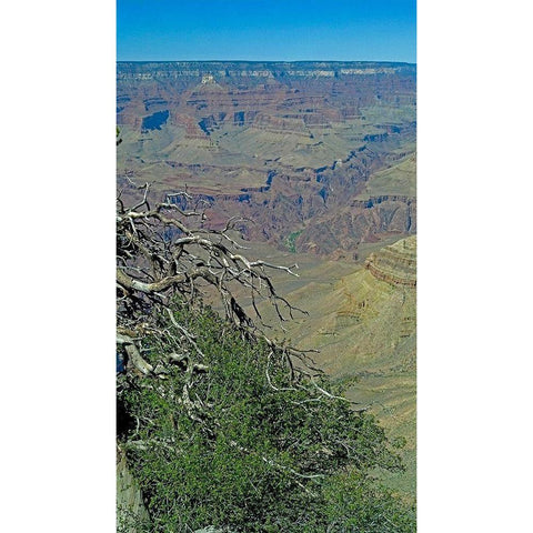 Grand Canyon 4 White Modern Wood Framed Art Print by Popcorn