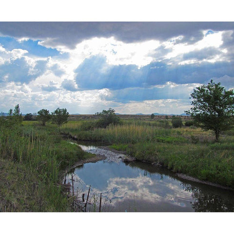 Becker Lake Wildlife Preserve White Modern Wood Framed Art Print by Popcorn