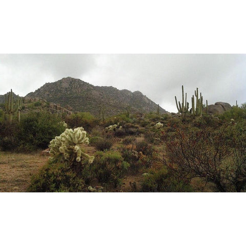 Granite Mountain I White Modern Wood Framed Art Print by Popcorn