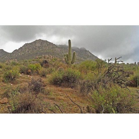 Granite Mountain II Black Modern Wood Framed Art Print with Double Matting by Popcorn