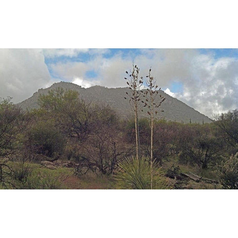 Granite Mountain III Gold Ornate Wood Framed Art Print with Double Matting by Popcorn