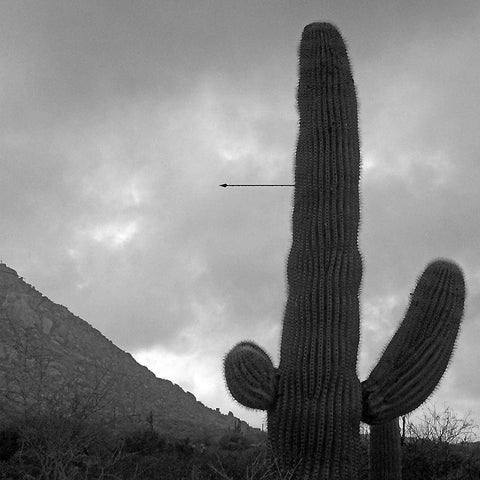 Saguaro Arrow BandW Black Modern Wood Framed Art Print with Double Matting by Popcorn