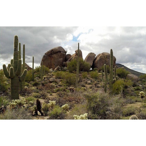 Cathedral Rock Black Modern Wood Framed Art Print by Popcorn