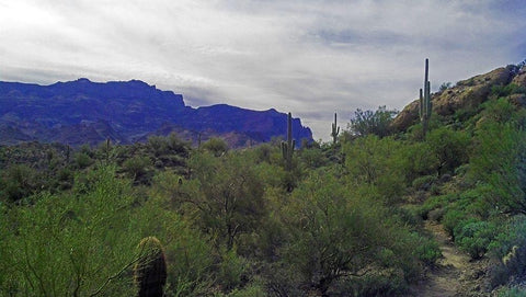 Superstition Mountain I White Modern Wood Framed Art Print with Double Matting by Popcorn