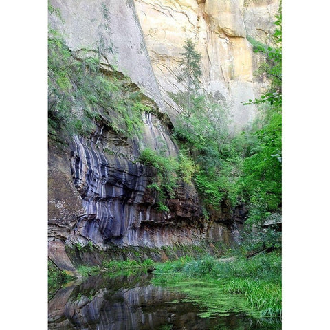 Oak Creek Canyon III Gold Ornate Wood Framed Art Print with Double Matting by Popcorn