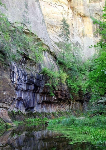 Oak Creek Canyon III White Modern Wood Framed Art Print with Double Matting by Popcorn