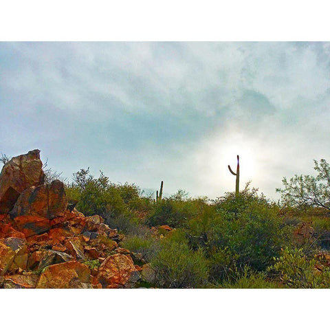 Desert Scape 14 White Modern Wood Framed Art Print by Tenoever, William