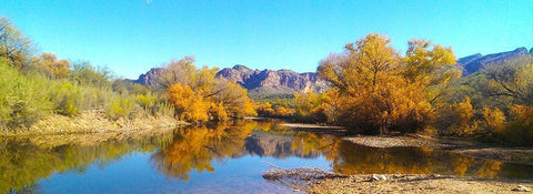Salt RIver in Fall I Black Ornate Wood Framed Art Print with Double Matting by Tenoever, William