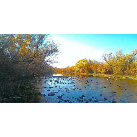 Salt RIver in Fall II White Modern Wood Framed Art Print by Tenoever, William
