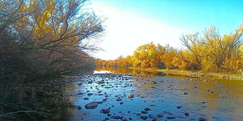 Salt RIver in Fall II White Modern Wood Framed Art Print with Double Matting by Tenoever, William