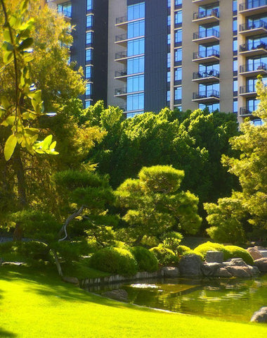 Japanese Friendship Garden II White Modern Wood Framed Art Print with Double Matting by Tenoever, William