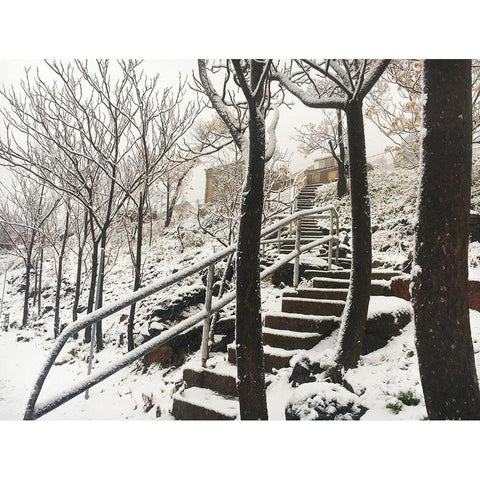 Jerome Snowy Stairs I Gold Ornate Wood Framed Art Print with Double Matting by Popcorn