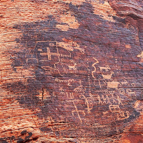 ValleyOfFire:Petroglyphs1 Black Ornate Wood Framed Art Print with Double Matting by Tenoever, William