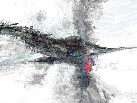 B and W I Color Accents II Black Ornate Wood Framed Art Print with Double Matting by Tienhaara, Michael