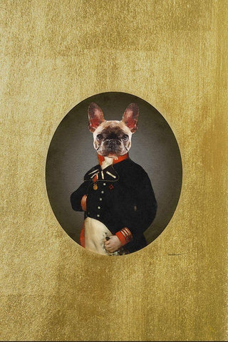 Classic Frenchie White Modern Wood Framed Art Print with Double Matting by Amanda Greenwood