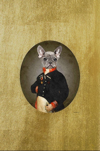 All Dressed up Frenchie White Modern Wood Framed Art Print with Double Matting by Amanda Greenwood