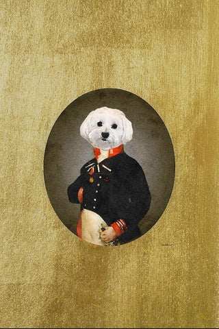 All Dressed up Bichon Frison White Modern Wood Framed Art Print with Double Matting by Amanda Greenwood