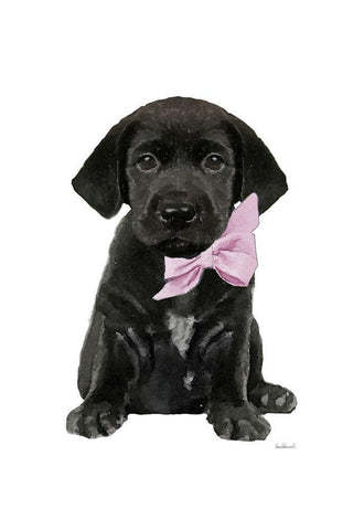 Labrador I White Modern Wood Framed Art Print with Double Matting by Amanda Greenwood