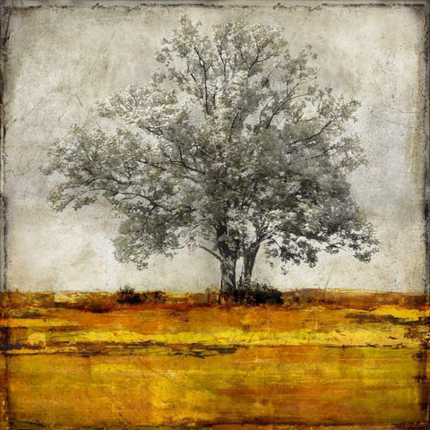 Majestic - Amber Gold Ornate Wood Framed Art Print with Double Matting by Turner, Eric