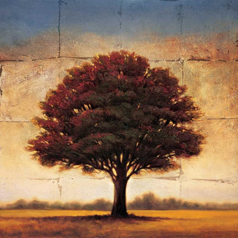 Splendor I White Modern Wood Framed Art Print with Double Matting by Williams, Gregory