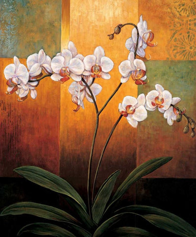 Orchids Black Ornate Wood Framed Art Print with Double Matting by Deveraux, Jill