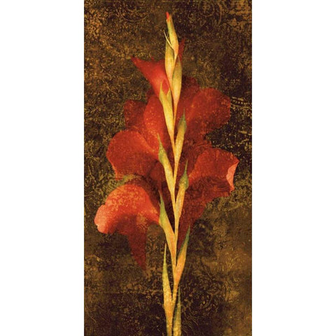 Gladiola Gold Ornate Wood Framed Art Print with Double Matting by Seba, John