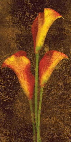 Callas White Modern Wood Framed Art Print with Double Matting by Seba, John