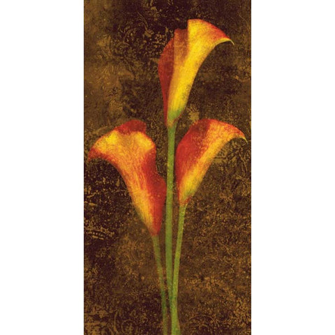 Callas Gold Ornate Wood Framed Art Print with Double Matting by Seba, John
