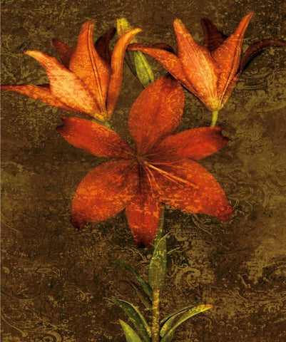 Red Lilies Black Ornate Wood Framed Art Print with Double Matting by Seba, John