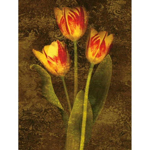 Three Tulips Gold Ornate Wood Framed Art Print with Double Matting by Seba, John