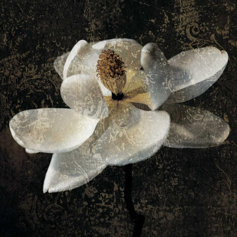Magnolia II Gold Ornate Wood Framed Art Print with Double Matting by Seba, John