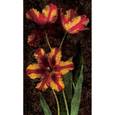 Decorative Tulips I Gold Ornate Wood Framed Art Print with Double Matting by Seba, John