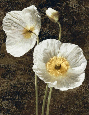 Poppies I White Modern Wood Framed Art Print with Double Matting by Seba, John